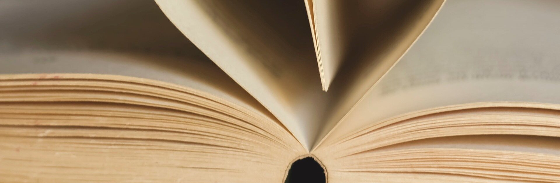 Buchseiten bilden ein Herz